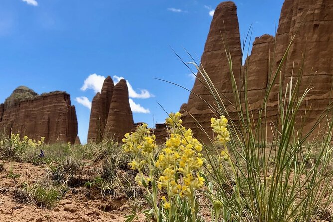 Capitol Reef Private Tour in Cathedral Valley and Bentonite Hills - Exceptional Guide and Unforgettable Experience