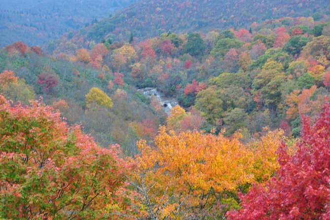 Carolina Waterfalls and Highlands Private VIP Boutique Tour - Reaching the Stunning Whiteside Mountain