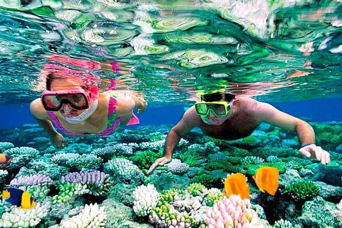 Catamaran Adventure to Isla Mujeres With Snorkel,Buffet,Open Bar and Beach Club - Booking and Cancellation Policy