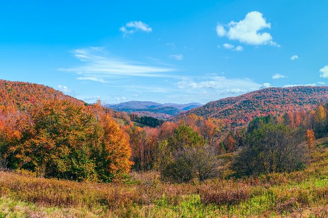 Catskills Scenic Byway Audio Tour Review - Accessibility and Suitability
