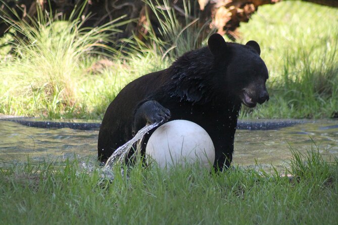 Central Florida Zoo & Downtown Sanford Review - Questions About Your Stay