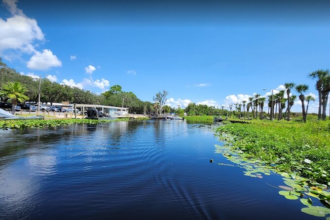CENTRAL Florida'S BEST PRICED Eco-Friendly Airboat Rides - The Eco-Friendly Commitment of Gator Airboat Rides