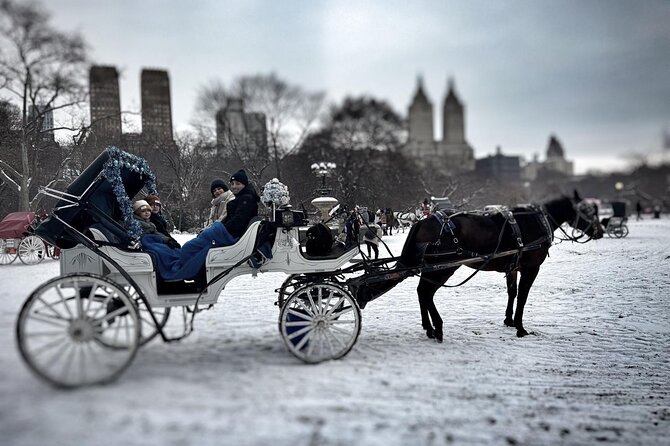 Central Park and NYC Horse Carriage Ride Review - Experiencing the Horse-Drawn Carriage