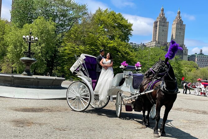 Central Park Horse Carriage Rides Since 2005 - Private Tour: Only Your Group Participates
