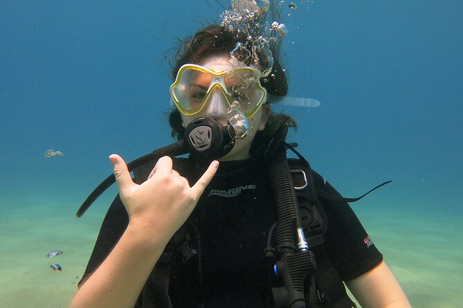 Certified Guided Shore Dive in Lahaina - Preparing for Your Guided Shore Dive