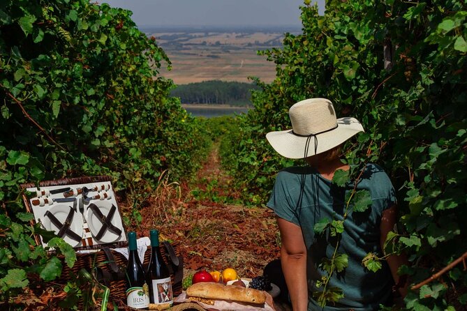 Chateau Burgozone Wine Tasting and Enchanting Danube River View - Ask Away