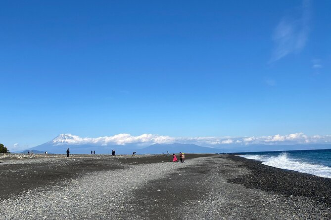Classic Shizuoka With Mt.Fuji Viewing 1 Day Private Tour - Viewing Mt. Fuji