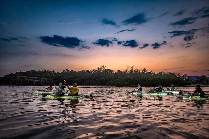 Clear Kayak LED Night Glass Bottom Tour - Sarasota - Guest Experiences and Feedback
