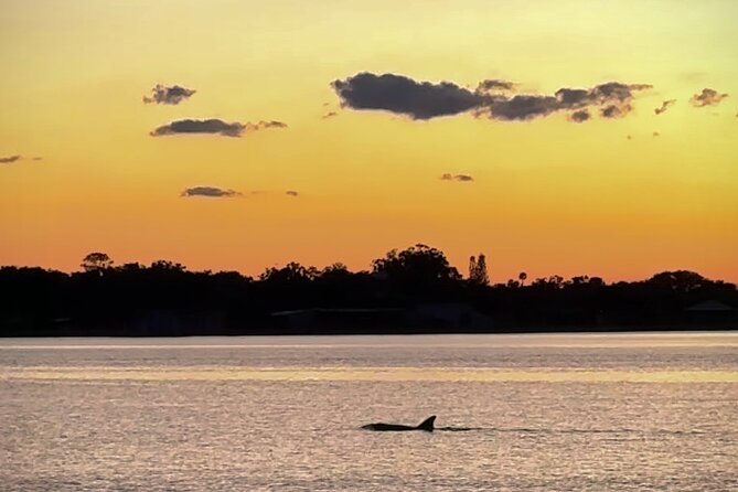 Clear Kayak Manatee Viewing Tour Review - Final Thoughts