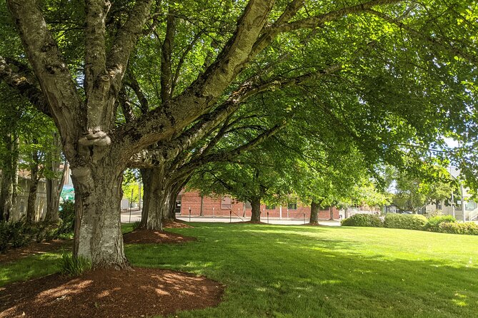 Corvallis Scavenger Hunt Walking Tour Review - Final Verdict On This Stay