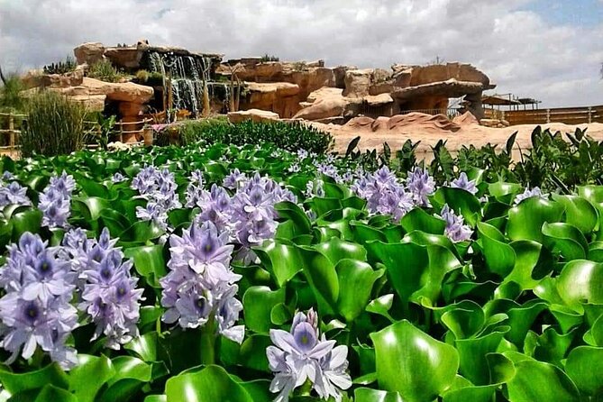 Crocodile Park+ Coco Polizzi Including Transportation and Entrance - Frequently Asked Questions