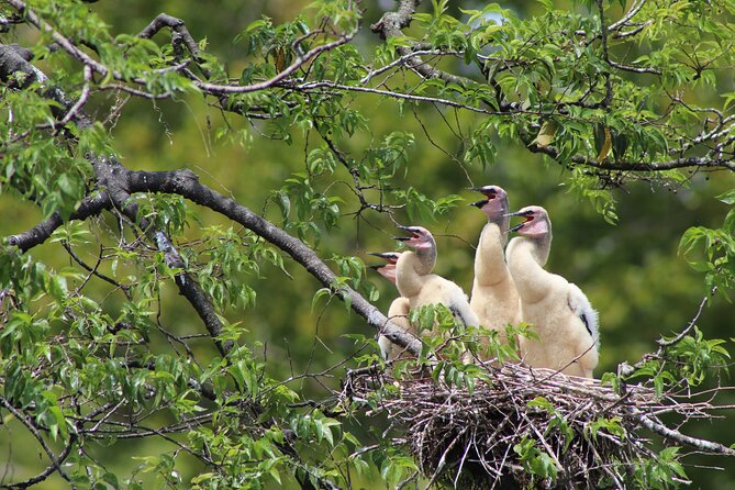 Crystal River National Wildlife Refuge Sightseeing Cruise - Knowledgeable and Engaging Guides