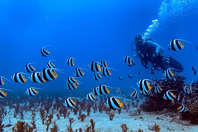 Custom Private Adventure - Onboard Dining and Refreshments