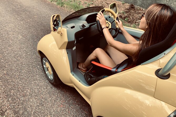 Cute & Fun E-Car Tour Following Guide Around Lake Kawaguchiko - Preparing for the Tour