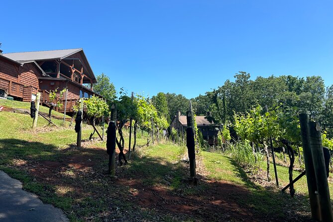 Dahlonega Wine & Dine Private Tour From Atlanta - Tips for an Enjoyable Experience