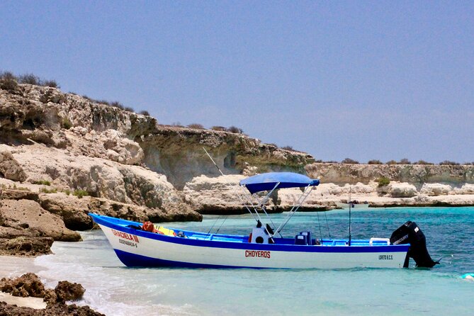 Danzante Island and Snorkel Tour From Villas Del Palmar Hotel - Booking Your Tour