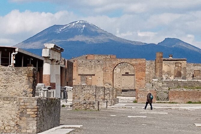 Day Tour Archaeological Site Of Pompei And Herculaneum - The Sum Up
