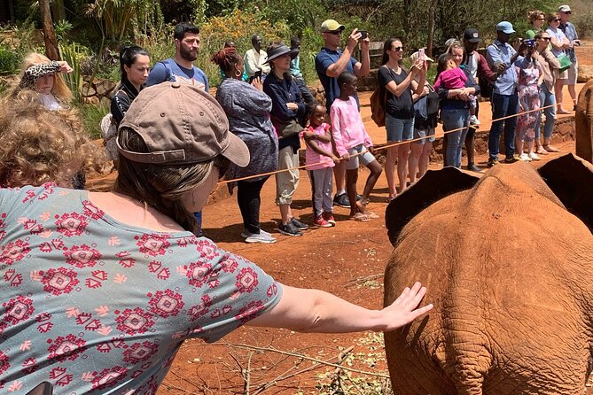 Day Tour to Nairobi National Park, Elephants, and Giraffe Center - Tips for a Great Visit