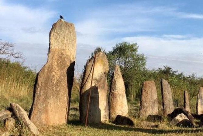 Day Trip to Adadi Mariyam, Tiya and Melka Kunture - Frequently Asked Questions