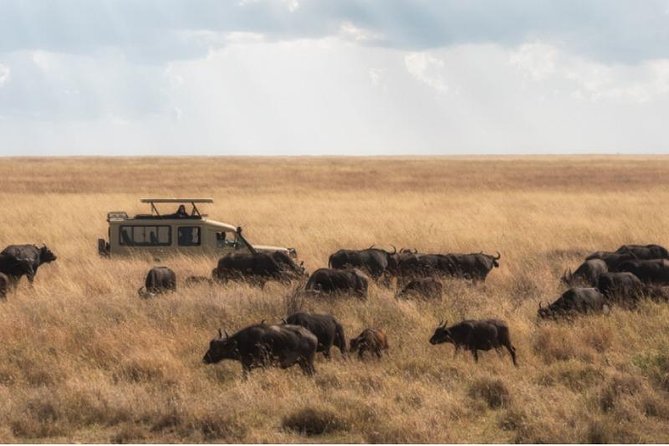 Day Trip to Selous National Park From Zanzibar or Dar Es Salaam - Frequently Asked Questions