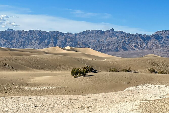 Death Valley Small Group Tour Review - Guided Experience and Transportation