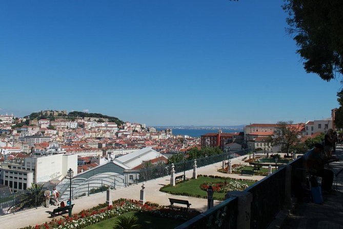 Discover Lisbon by Comfy Van - Private Half Day Tour - Customizing Your Lisbon Adventure