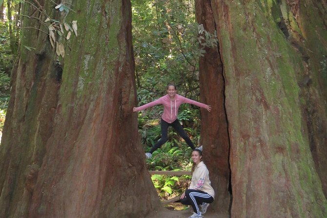 Discover Point Reyes National Seashore & Muir Woods Redwoods - Tour Overview and Logistics