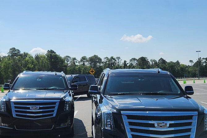 Disney Hotels Private Van Transfer To/From Orlando Intl Airport - Enhancing Your Disney Vacation Experience