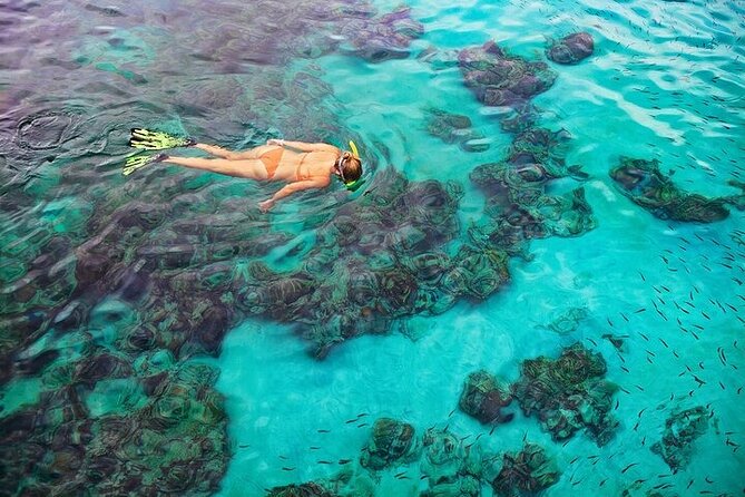 Dolphin, Sea Cave & Captain Cook Snorkel Combo in Kealakekua Bay - Safety and Health Considerations