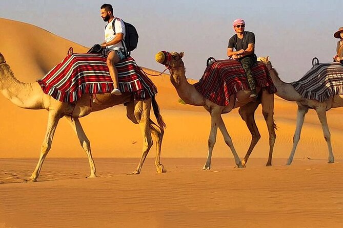 Dubai Desert Safari With Live Show, BBQ Dinner, Camel Ride & Sand Board Options - Frequently Asked Questions