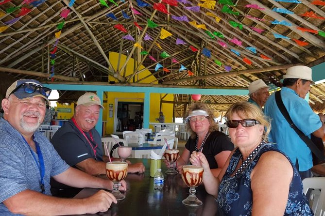 Dune Buggy Adventure, Snorkel, Mayan Town, East Coast, Tequila and City Tour - Accessibility Information