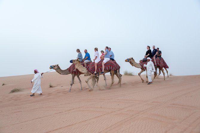 Dune Dinner Safari Abu Dhabi - Frequently Asked Questions