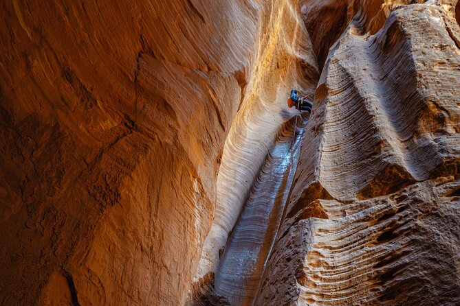 East Zion: Stone Hollow Full-day Canyoneering Adventure - Pricing and Booking Details