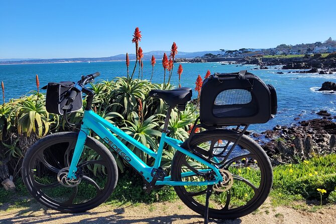 Electric Bike Rental on 17 Mile Drive Review - Feedback From Previous Participants