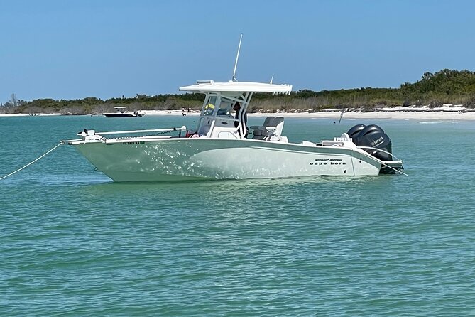 Enticement Charters Snorkel, Shelling in St. Petersburg, FL 3 Hrs - Preparing for an Unforgettable Boat Charter