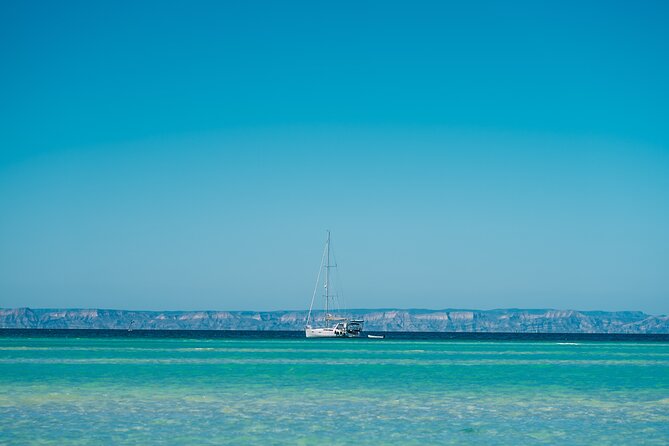 Espiritu Santo Island Tour - Suggested Improvements