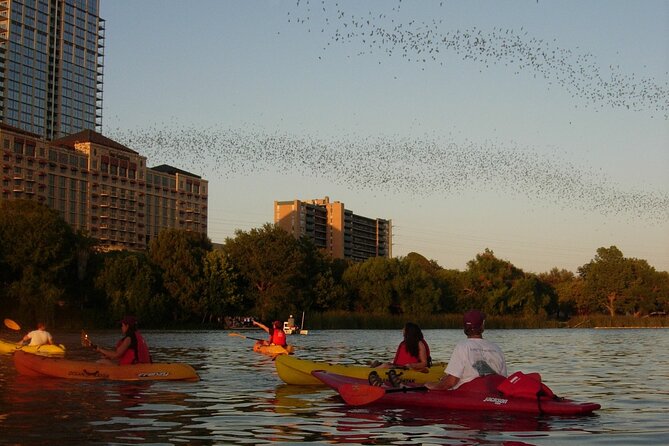 Evening Bat Watching Kayak Tour Review - Booking and Cancellation Policy