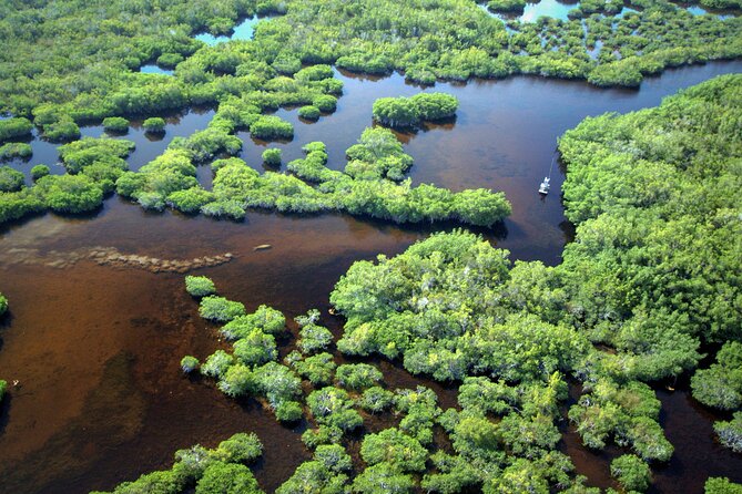 Everglades National Park Boat Tour - Highlights of the Tour