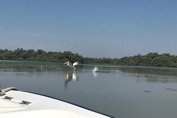 Exclusive Danube Delta Tours: Crafted Just for You... - Why Choose Us