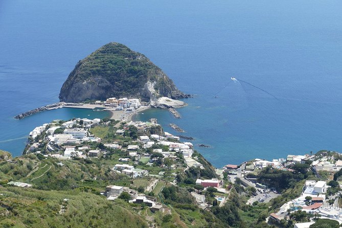 Exclusive Ischia Day Trip & Food Tasting With Top Guide and Driver From Naples - Tour Details and Pricing
