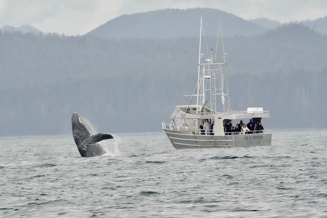 Experience Local Marine Wildlife Tour - Frequently Asked Questions