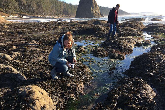 Experience the Spectacular Beauty of the Olympic Peninsula - Best Times to Visit