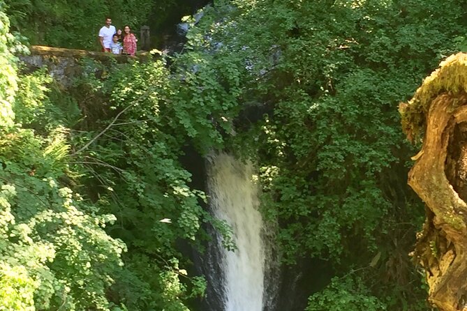 Explore Columbia River Gorge Half-Day Small-Group Hiking Tour - Health and Accessibility