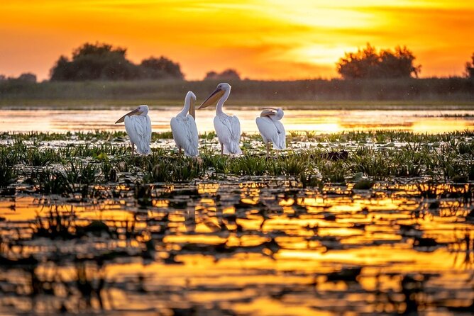 Explore Danube Delta and Black See in 2 Day Private Tour From Bucharest - Personalized Private Tour for Your Group