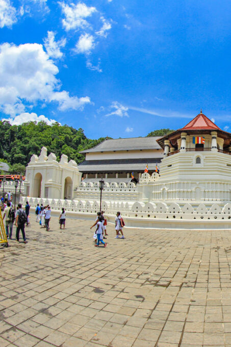 Explore Great Sri Lanka With Tourist Hot Spots in 6 Days - Language Availability