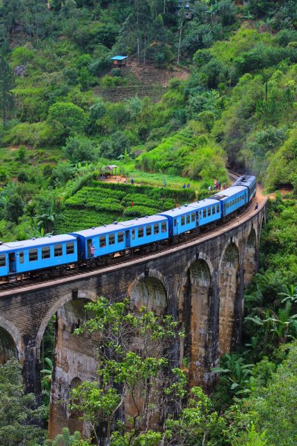 Explore the MAGIC of Sri Lanka in 7days -4 Star Hotels Incl. - Immerse in Cultural Experiences