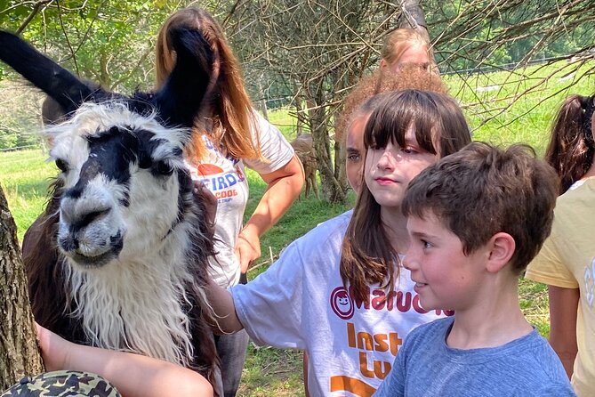 Farm Tour at Clover Brooke Llama/Alpaca/Goat Farm - Things To Known