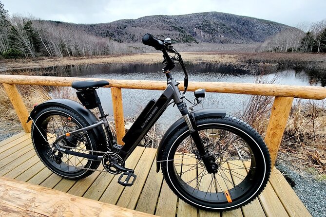 Fat Tire E-Bike Rental in Bar Harbor - Tips for an Unforgettable E-Bike Excursion