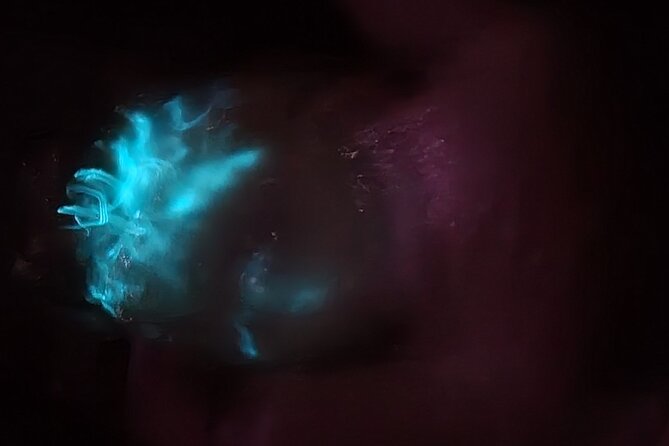 Florida Bioluminescence Kayaking Tour | Haulover Canal (Titusville) - Booking and Cancellation Policy
