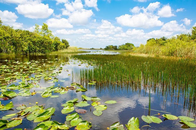Florida Everglades Airboat Adventure Plus Miami Biscayne Bay Cruise - Feedback and Recommendations